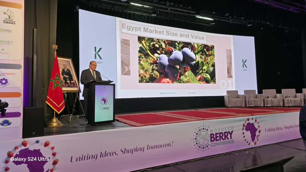 Morocco Berry Conference